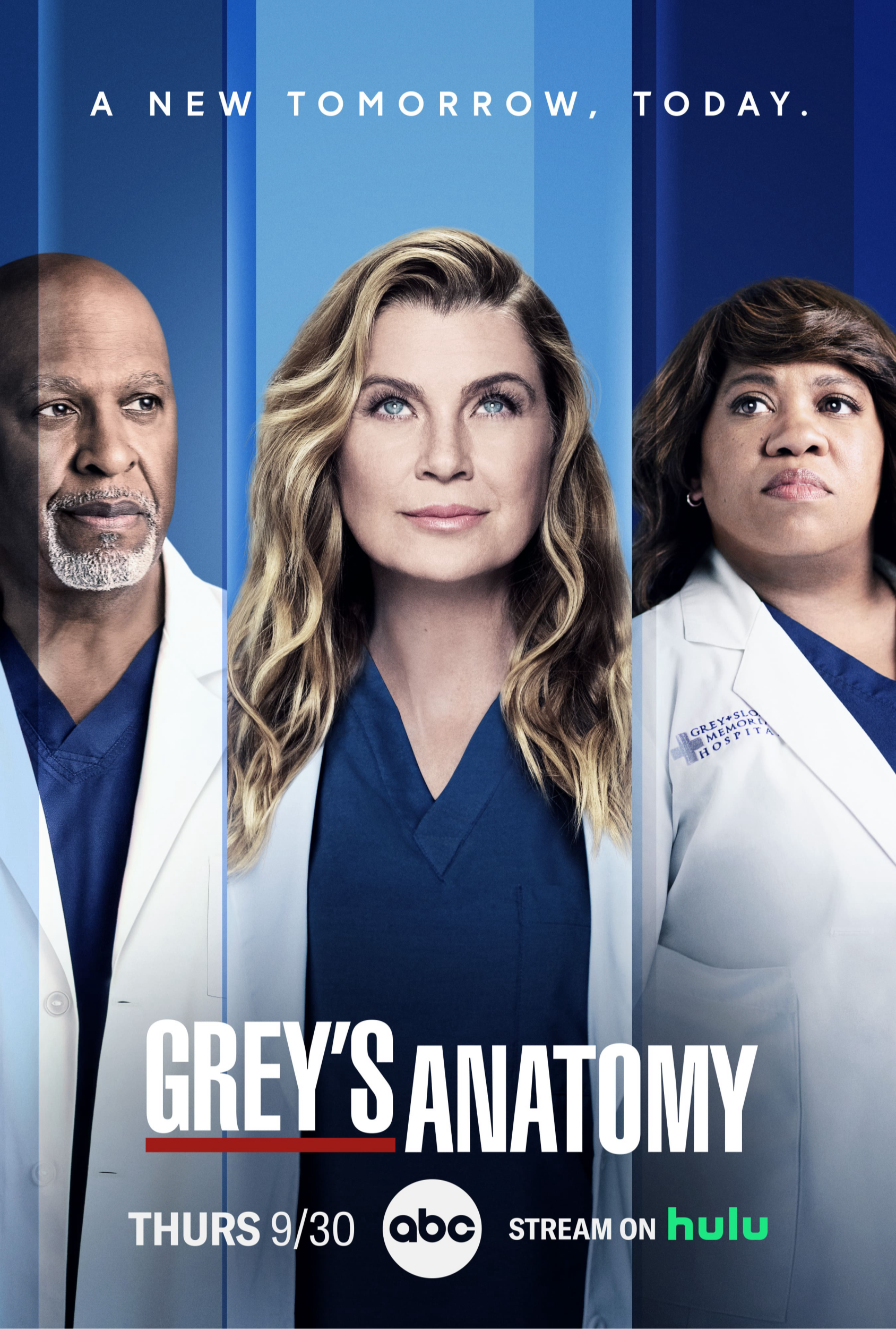 overview of grey's anatomy