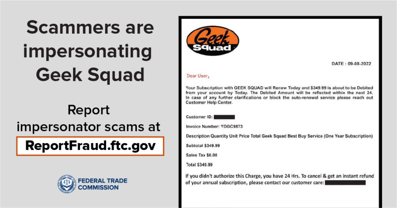 typical geek squad scam email