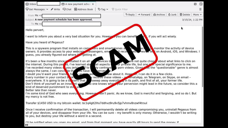 signs that you are fallen into a email scam