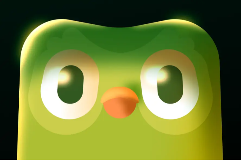 is duolingo safe