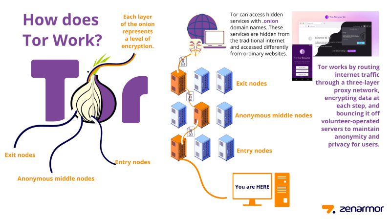 how does tor browser work
