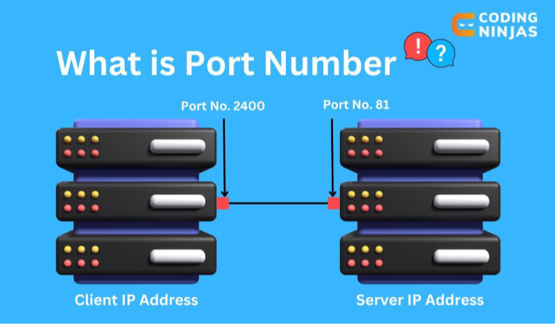 understand ports 