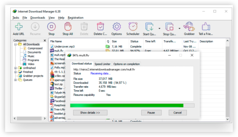 Internet Download Manager