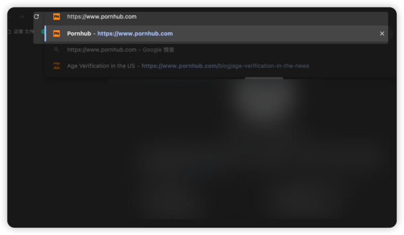 input  https pornhub in the search bar
