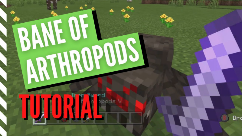 combining bane with other enchantments in minecraft