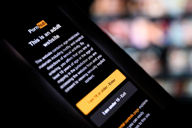 stay safe on pornhub alternatives