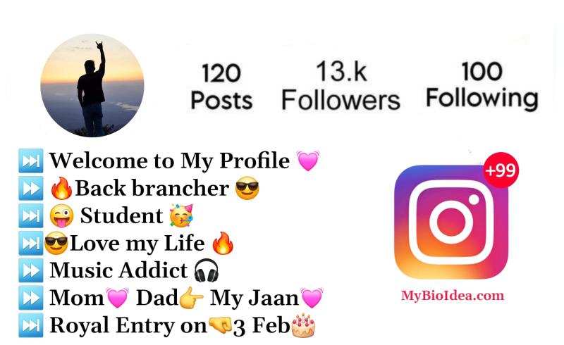 why a instagram bio for school boy matters