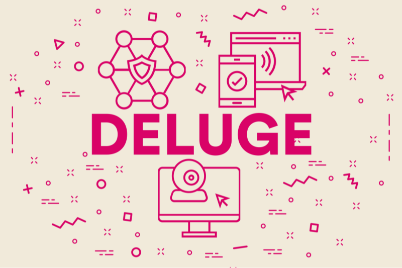 other tips when using deluge vpn