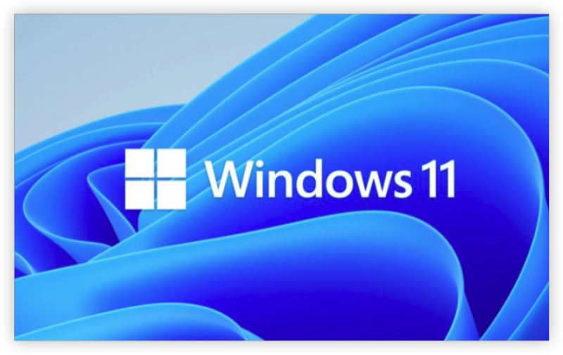 windows 11
