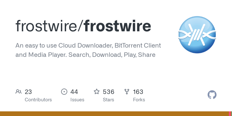 common problems during frostwire download