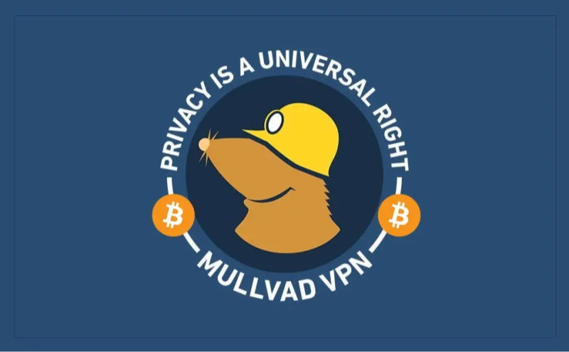 mullvad vpn