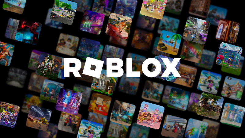 precautions when playing roblox at school