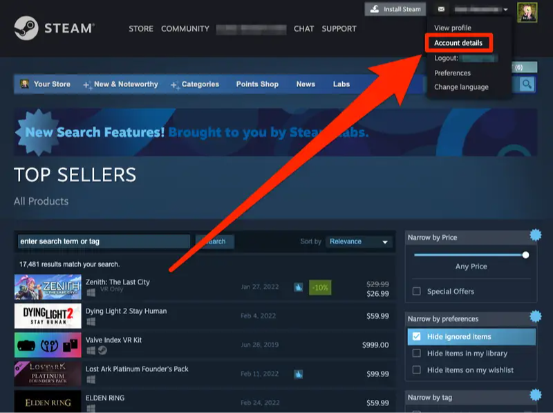 steam reset password process