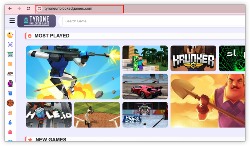 Go to the Website