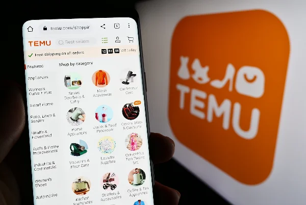 safer online shopping practice beyond temu