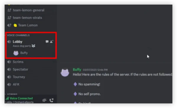 discord web voice channel