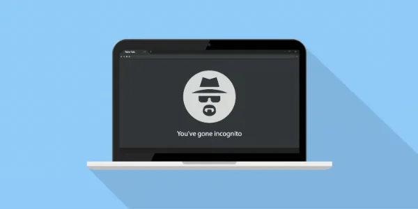 everyday use for incognito mode