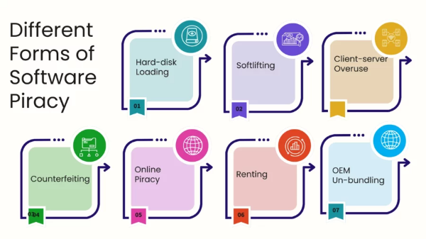 types of software piracy
