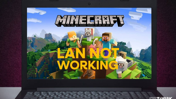 minecraft settings breaks lan