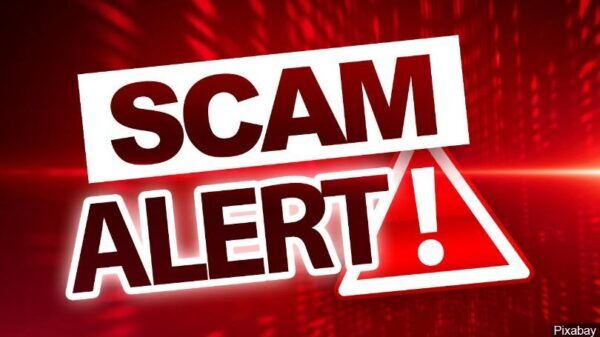 what todo if you receive a scam alert