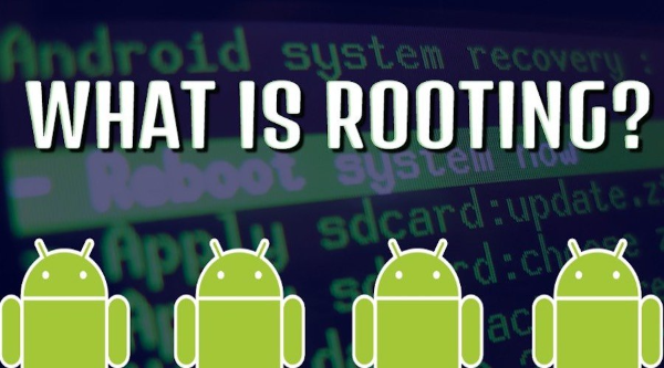 what is rooting