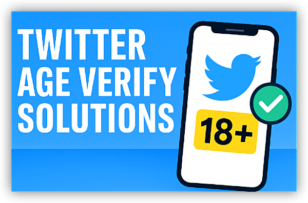 solutions to bypass Twitter/X Age Verification