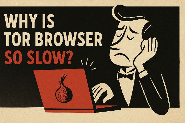 why is tor browser so slow?