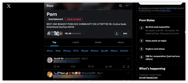 porn community on Twitter