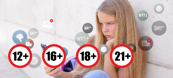 what are age verification laws