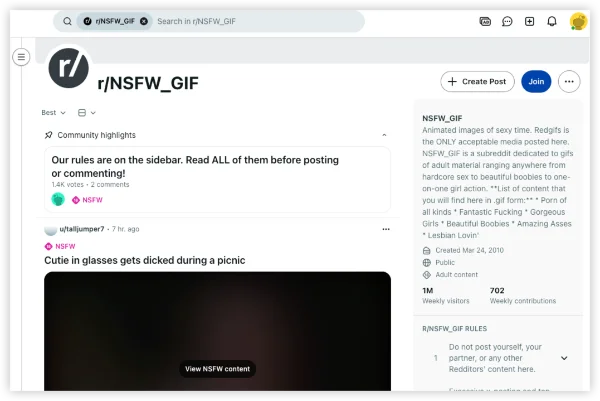 NSFW Communities on Reddit