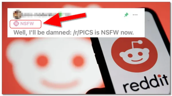 Reddit 18+ NSFW