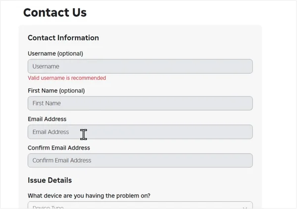 Update Roblox Accout Details