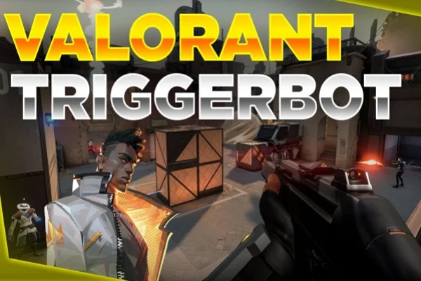 Valorant Trigger Bot