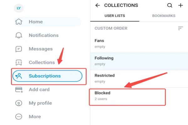 OnlyFans Subscription 