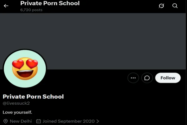 Private Porn School