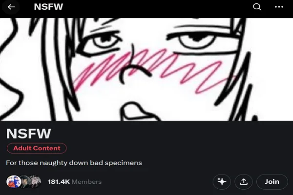 X NSFW Community 