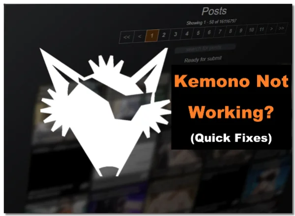 Quick ways to fix Kemono not working