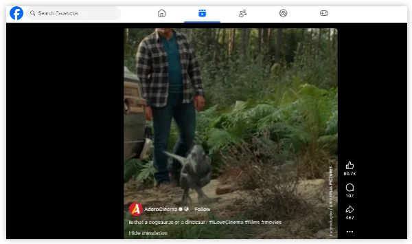 facebook videos