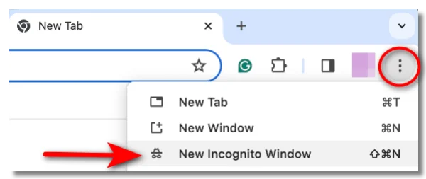 Watch Brazzers in Incognito Window