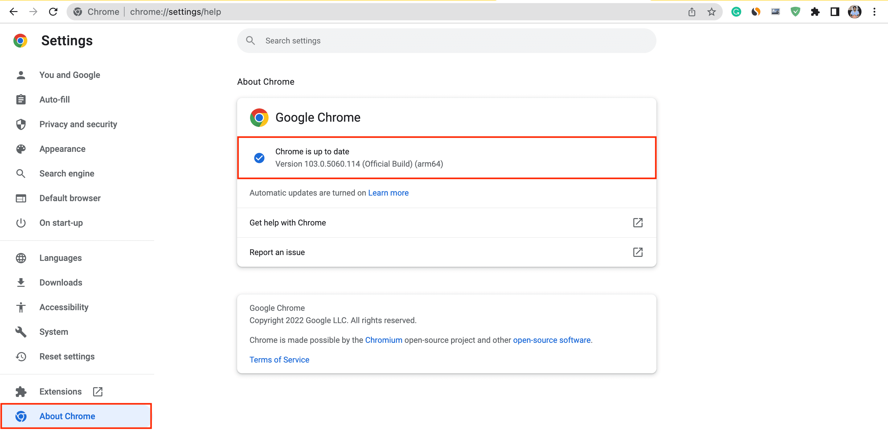 Update Chrome Browser