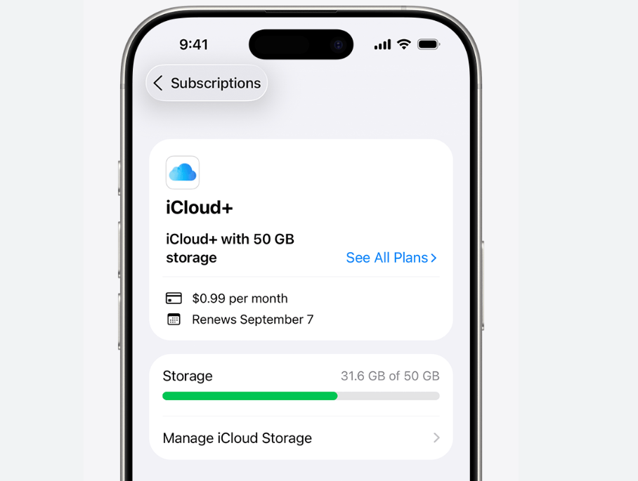 Check iCloud Plan